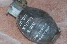 רימון 26